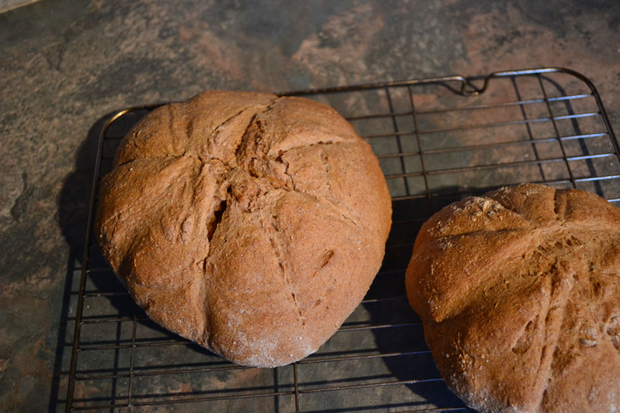 Хлеб в древности. Хлеб в древнем Риме. Хлеб древних греков. Древняя выпечка хлеба. Хлеб в древней Греции.