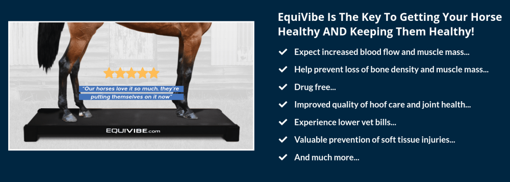 equivibe