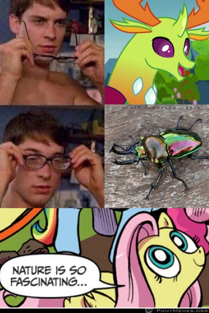 #1942662 - safe, edit, edited screencap, screencap, thorax, beetle ...