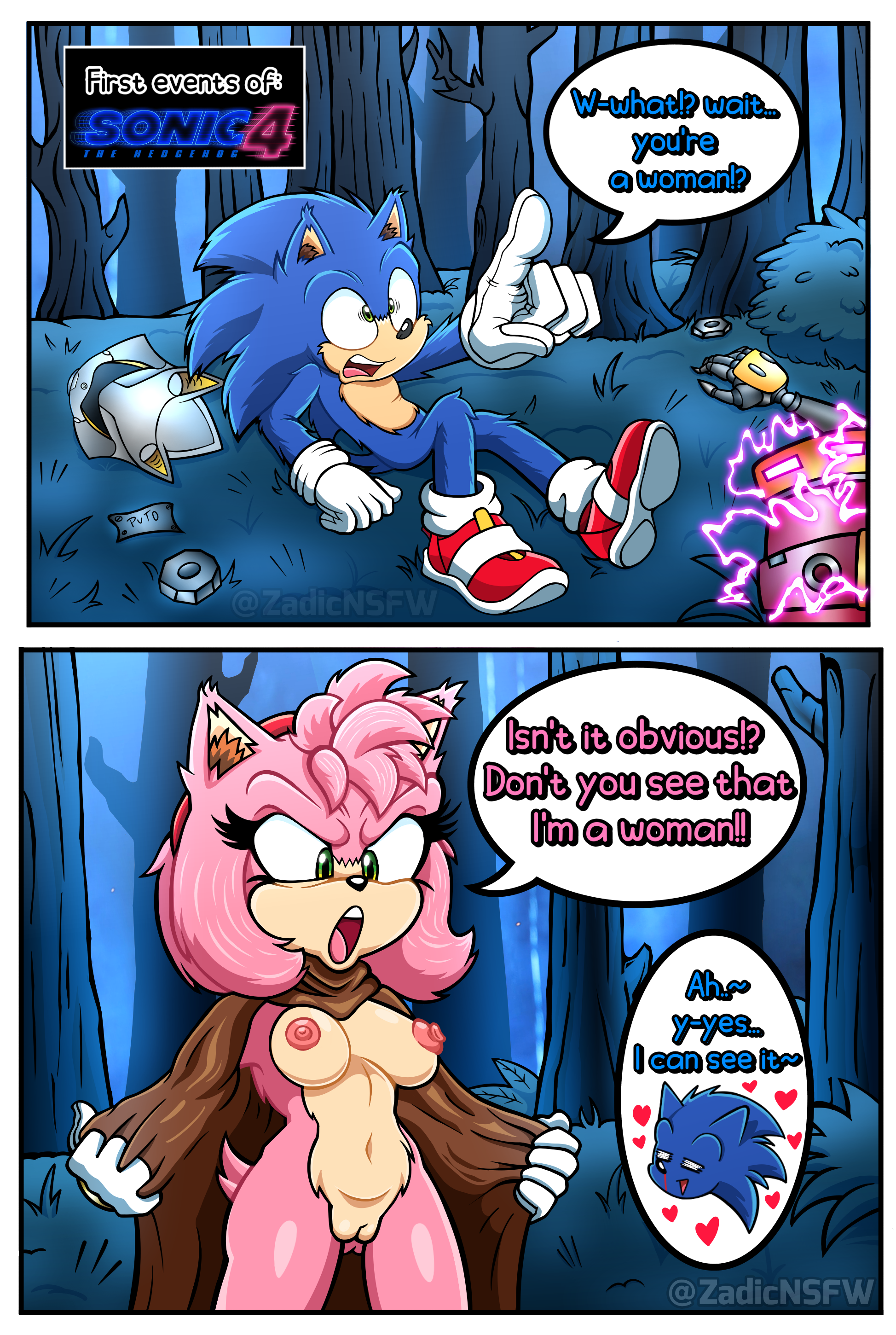 Sonic The Hedgehog (NSFW) .