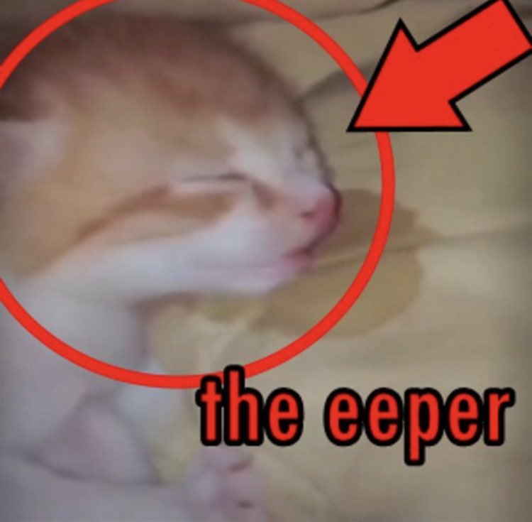 the eeper