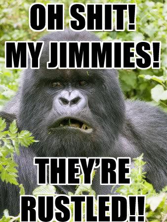 rustled jimmies meme gorilla