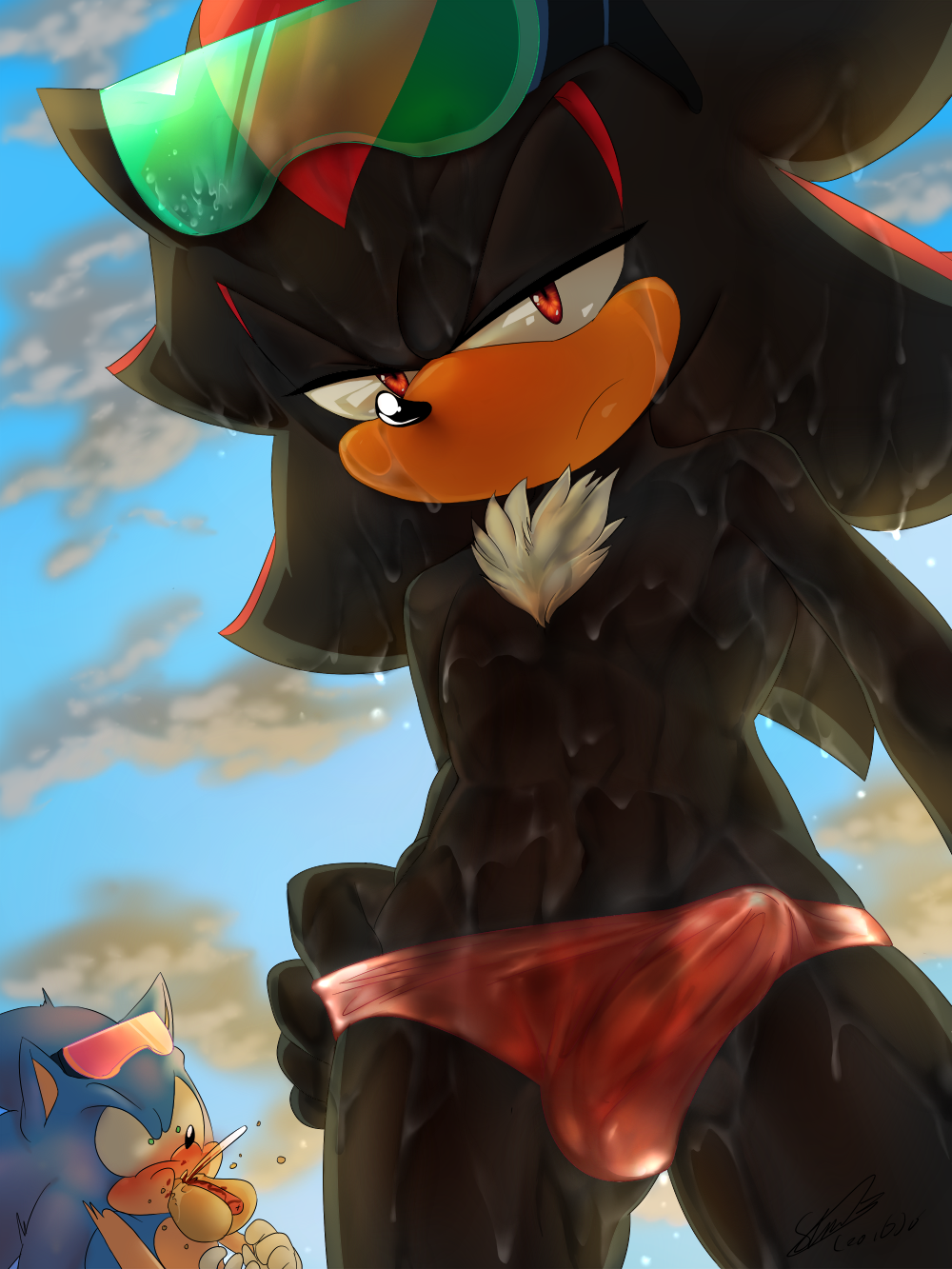 Shadow the hedgehog стим фото 94