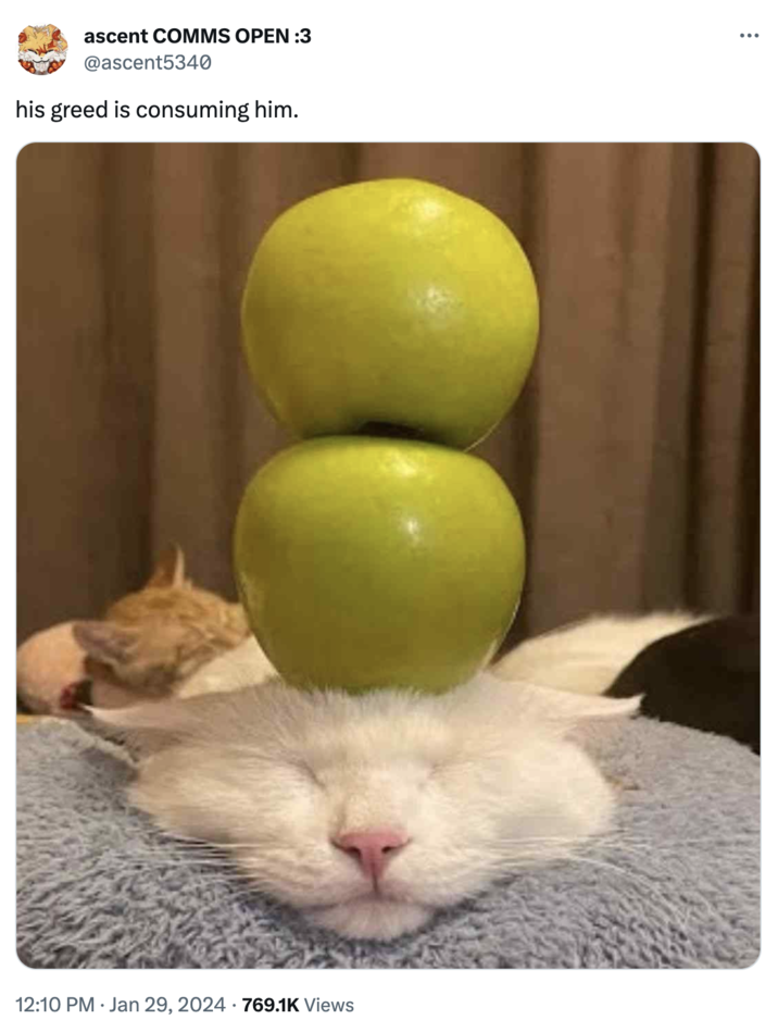 Cat with two apples stacked on its head. It is satisfied with its condition.